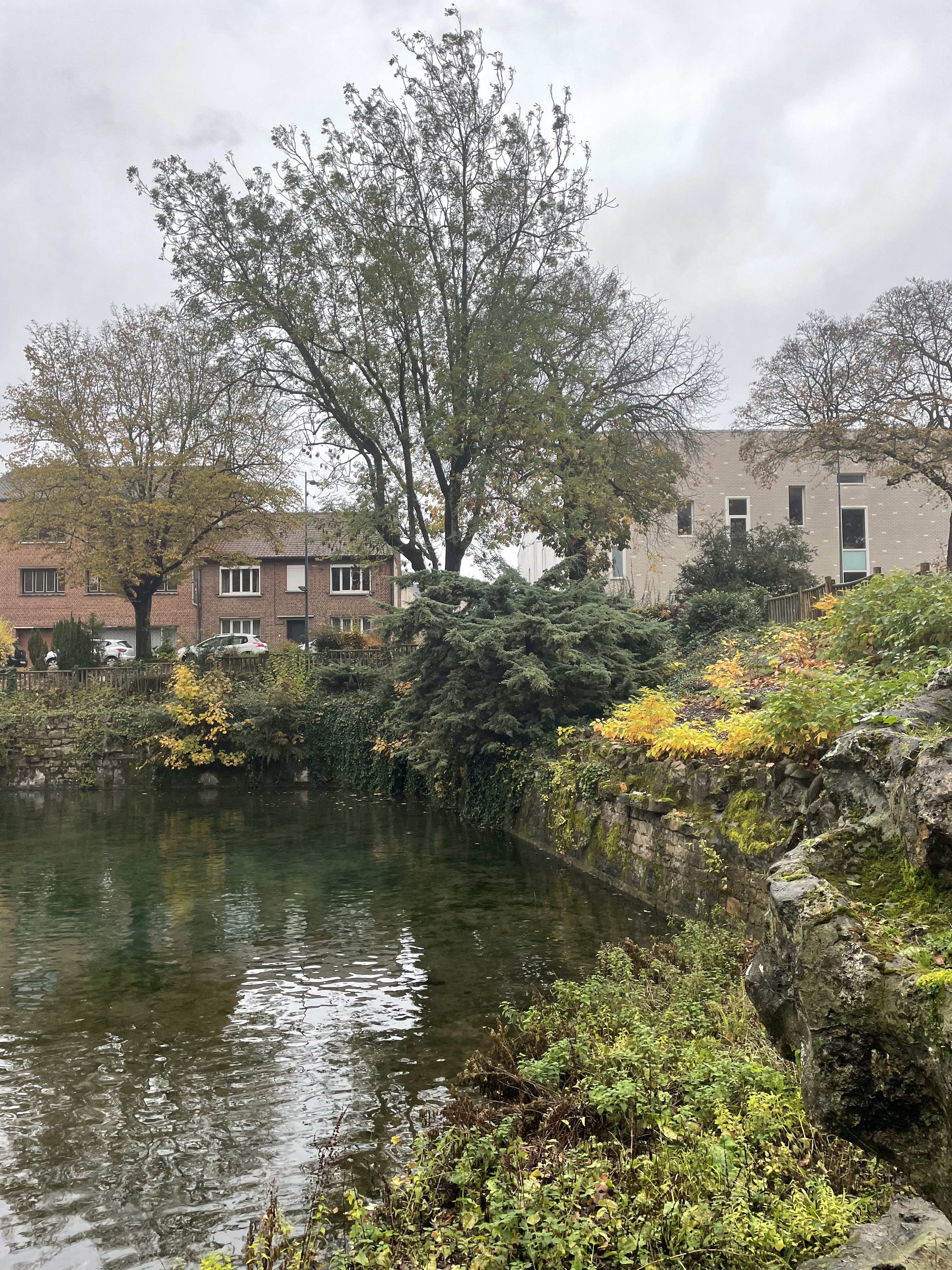 Photo n° 3 de l'avis de Cloé. fait le 15/11/2023 à 14:25