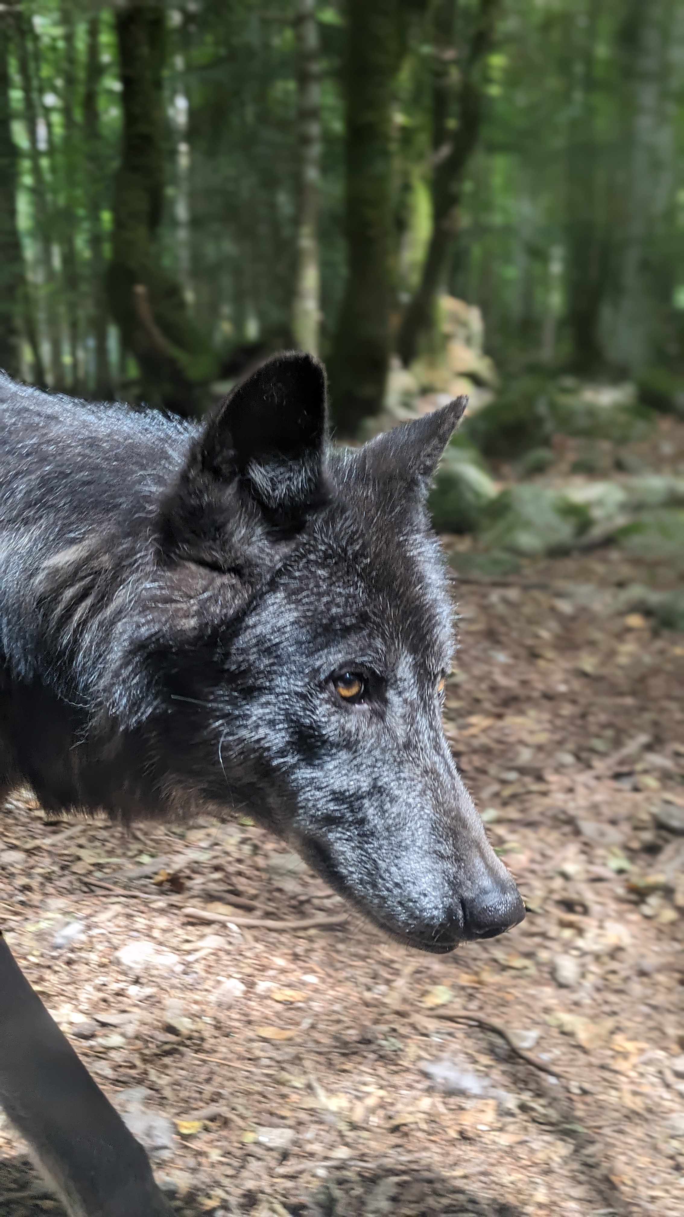 Photo n° 11 de l'avis de Dada.e fait le 15/08/2023 à 12:32