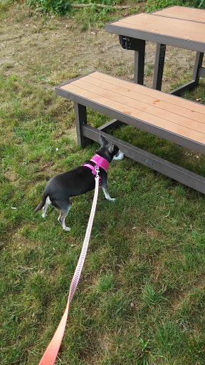 Park «Bradford Hawes Park», reviews and photos, 167 Lakehurst Ave, Weymouth, MA 02189, USA