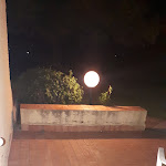 Photo n°1 de l'avis de Léa.e fait le 02/09/2019 à 19:55 sur le  Mangia’s Brucoli, Sicily, Autograph Collection à Brucoli