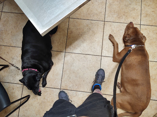 Faulkner Animal Hospital: Glenn Brent DVM image