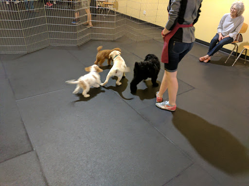 University Canine Learning Academy