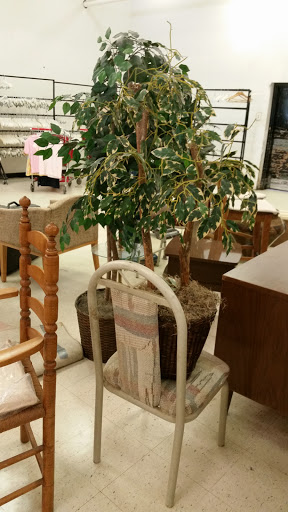 Thrift Store «Value World», reviews and photos, 22615 Ecorse Rd, Taylor, MI 48180, USA