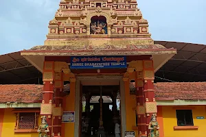 Shri Bhagavathi Devi Temple (Sasihitlu) image
