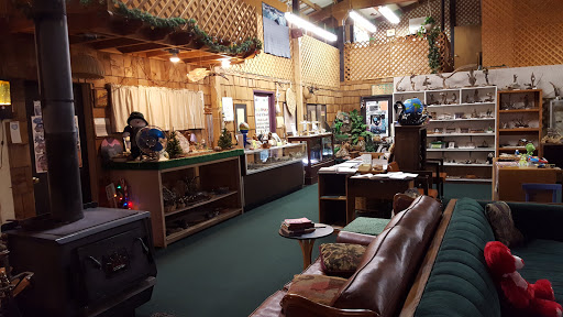 Gift Shop «Cove Crystal Shop», reviews and photos, 510 SE Old Arcadia Rd, Shelton, WA 98584, USA