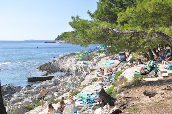 Veli Zal