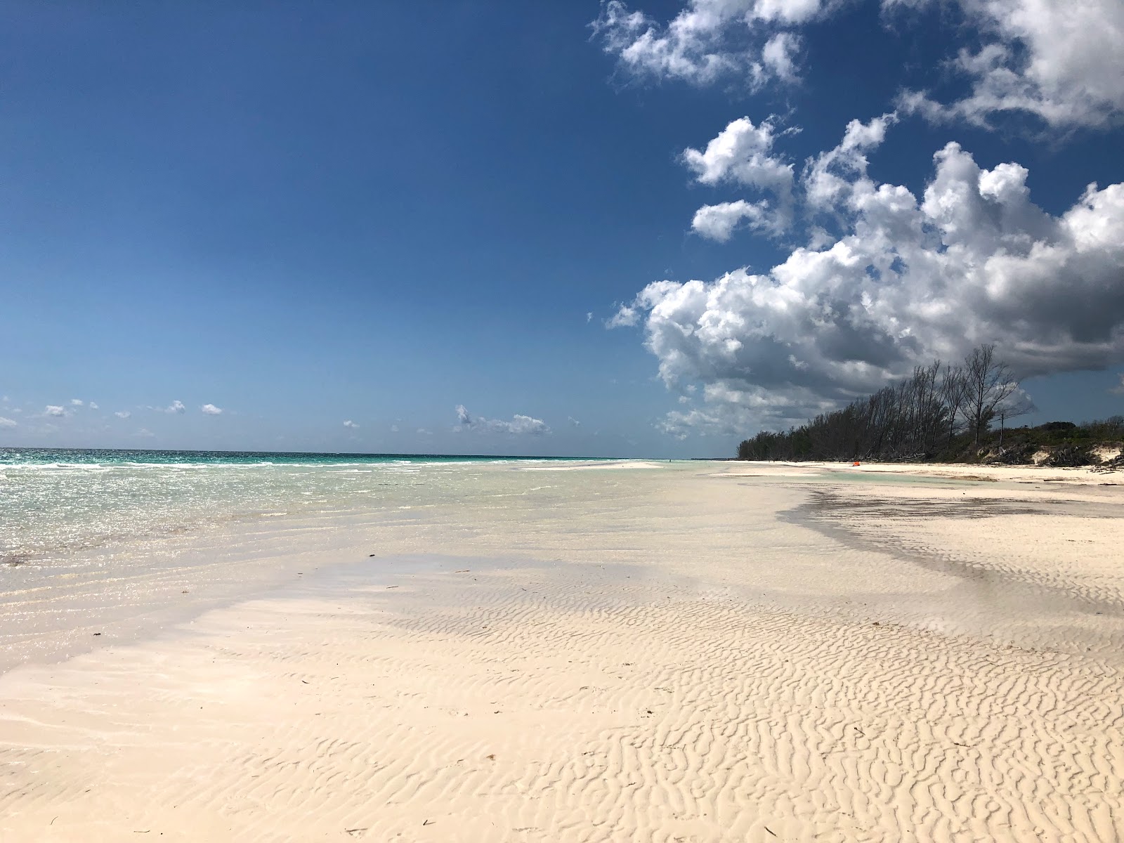 Photo de Gold Rock beach avec un niveau de propreté de partiellement propre