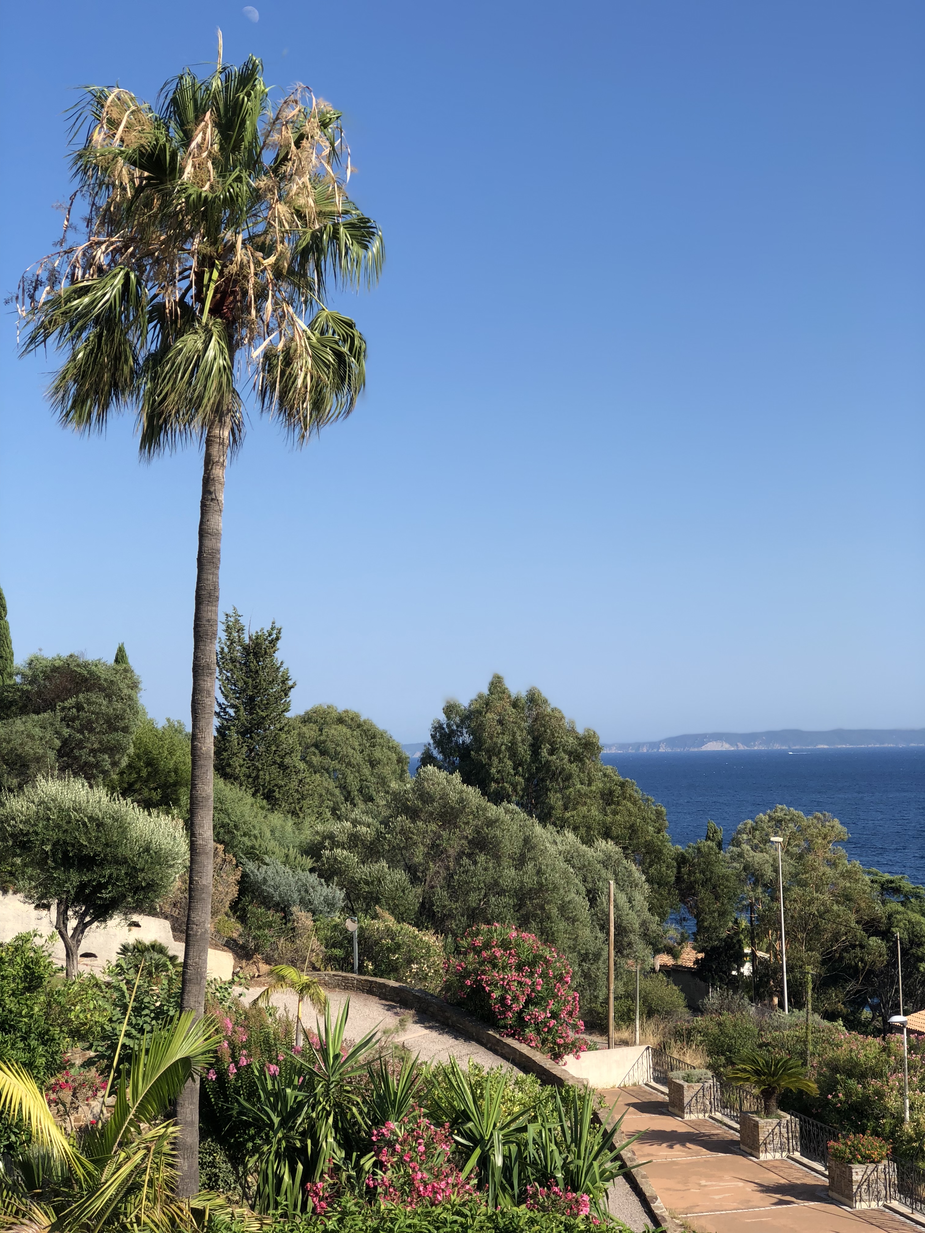 Photo n° 7 de l'avis de Florian.e fait le 26/07/2018 à 13:08