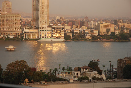 Accommodation go with dogs Cairo