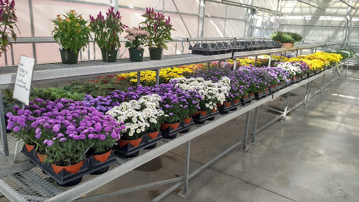 Produce Market «E Draghi & Son Farm Stand», reviews and photos, 86 Main St, South Glastonbury, CT 06073, USA