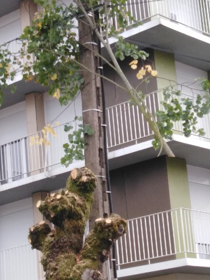 Photo n° 1 de l'avis de Julien.a fait le 24/09/2019 à 10:11