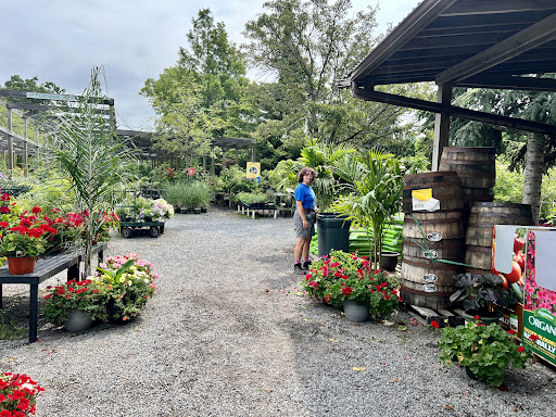 Florist «Bayport Flower Houses, Inc.», reviews and photos, 940 Montauk Hwy, Bayport, NY 11705, USA