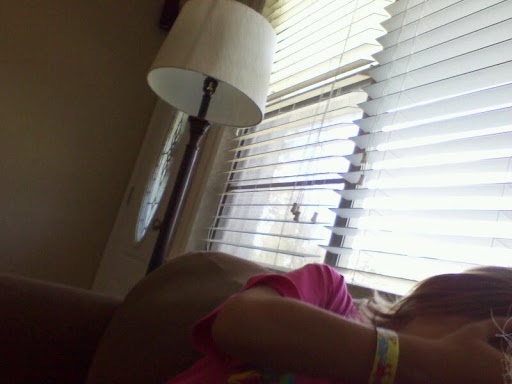 Pet Supply Store «Petco Animal Supplies», reviews and photos, 8735 Memorial Blvd, Port Arthur, TX 77640, USA