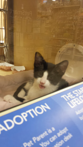 Pet Supply Store «PetSmart», reviews and photos, 2391 NJ-66, Ocean Township, NJ 07712, USA