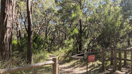 lookout hill circuit walk
