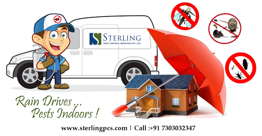 Sterling Pest Control Services Pvt. Ltd. Cockroach, Mosquito, Bed Bugs Control