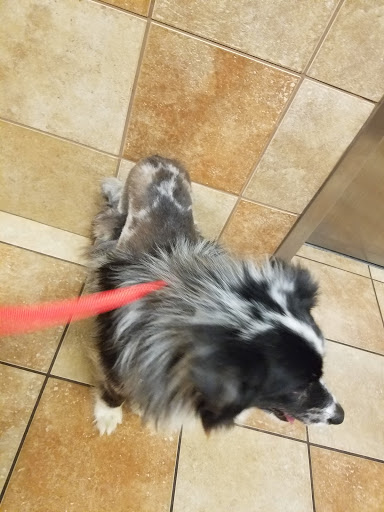 Pet Supply Store «PetSmart», reviews and photos, 12741 Towne Center Dr, Cerritos, CA 90703, USA