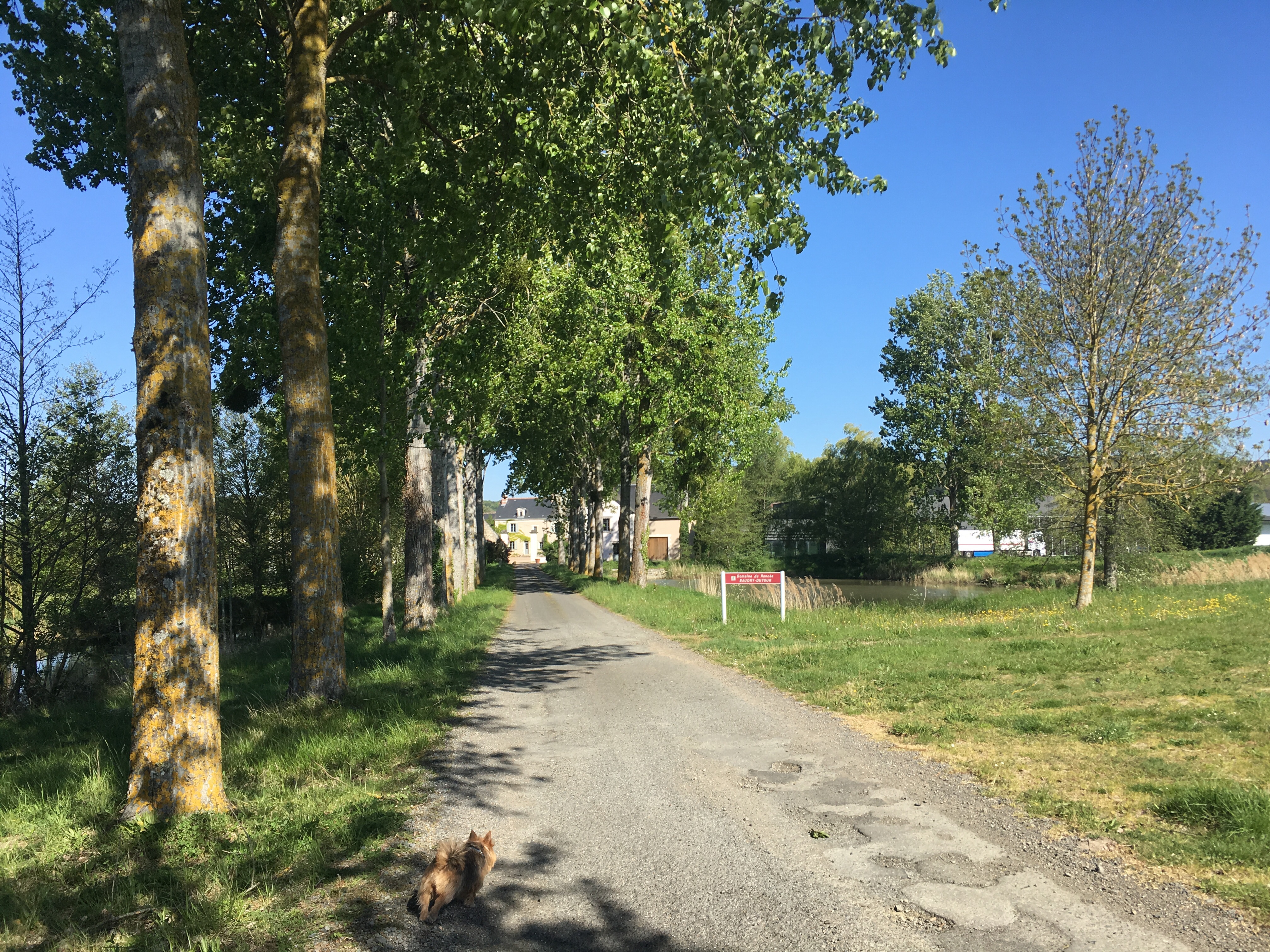 Photo n° 2 de l'avis de J. fait le 23/04/2017 à 07:11