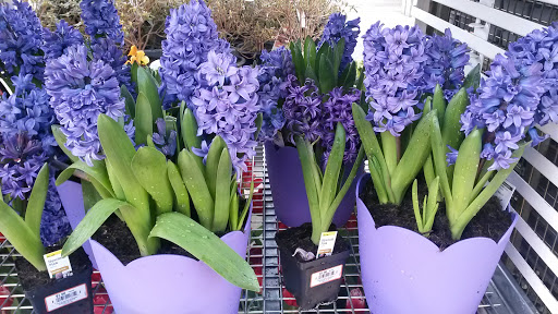 Home Improvement Store «The Home Depot», reviews and photos, 1306 E North Ave, Belton, MO 64012, USA