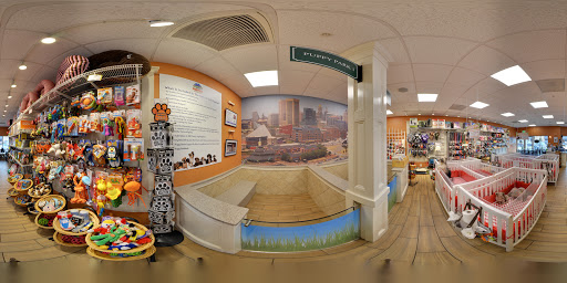 Pet Store «Charm City Puppies», reviews and photos, 8205 Snowden River Pkwy, Columbia, MD 21045, USA