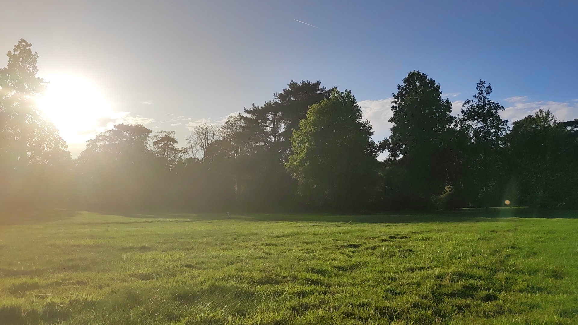 Photo n° 1 de l'avis de youssef.a fait le 30/07/2023 à 12:47