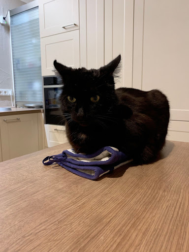 Dr. Myriam Miesen u. Anja Sibbing Tierarztpraxis unter Jünkerath, 