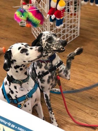 Pet Store «Bark Life Market», reviews and photos, 11220 Park Blvd N, Seminole, FL 33772, USA