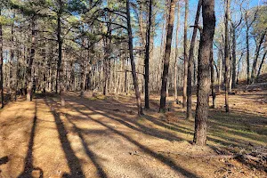 Long Island State Pine Barrens Preserve image