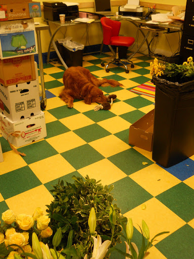 Event Planner «Savoir-Faire Event Planning», reviews and photos, 2309 W Market St, Akron, OH 44313, USA