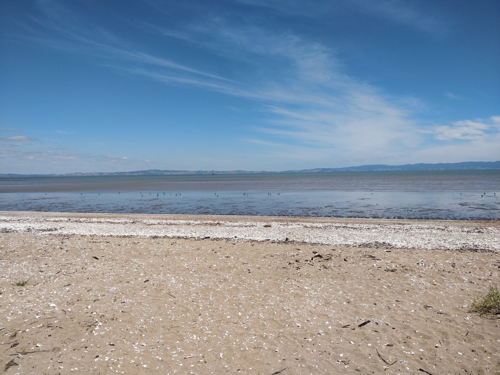 Kuranui Bay的照片 带有宽敞的海岸