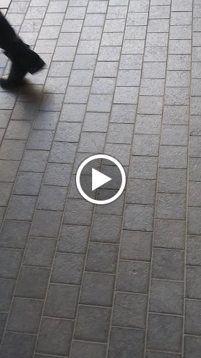 Art Museum «The Charles Hosmer Morse Museum of American Art», reviews and photos, 445 N Park Ave, Winter Park, FL 32789, USA