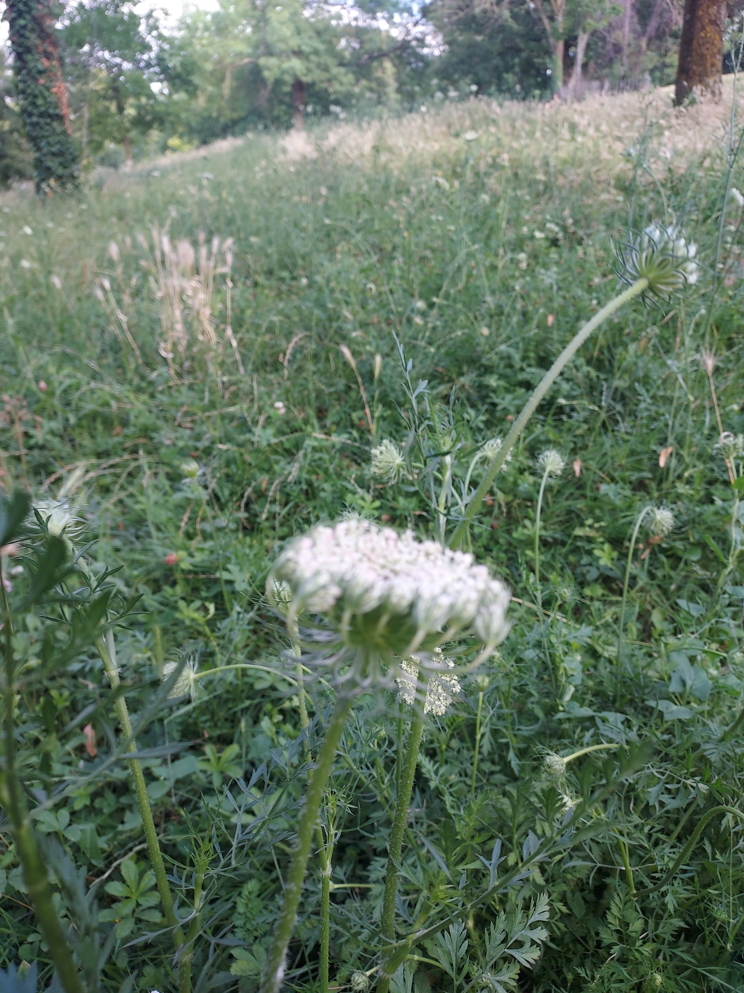 Photo n° 12 de l'avis de Isabelle.a fait le 04/07/2023 à 18:20