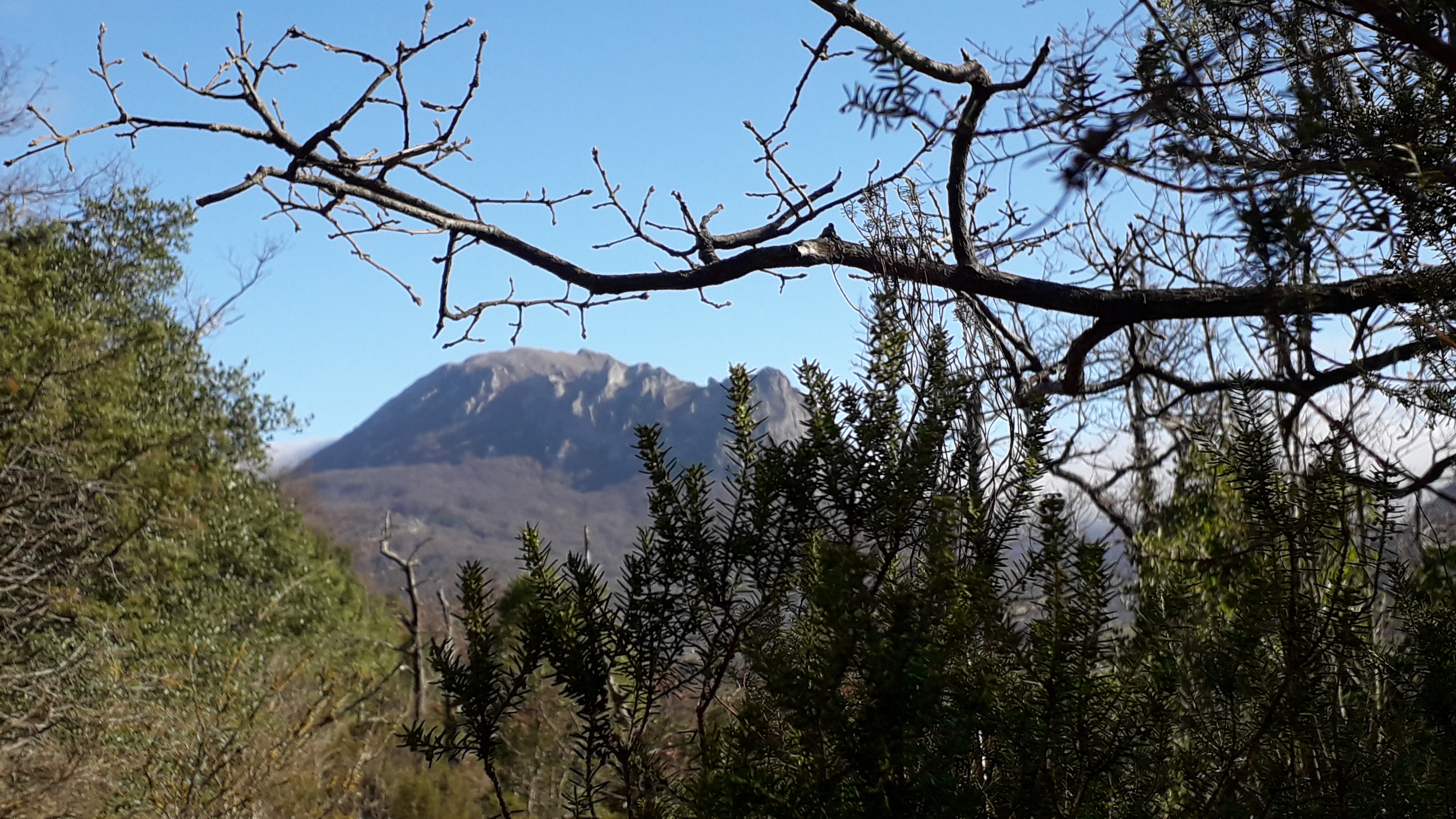 Photo n° 2 de l'avis de Marie.a fait le 15/02/2020 à 18:10