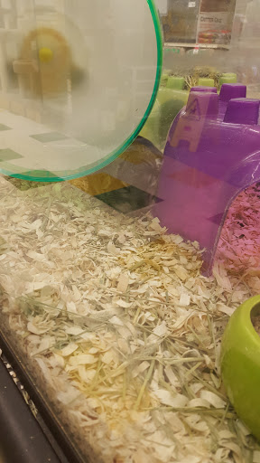 Pet Supply Store «Pet Supplies Plus», reviews and photos, 5161 Gull Rd, Kalamazoo, MI 49048, USA