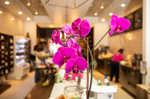 Health Food Store «Arrowroot Natural Foods», reviews and photos, 834 Lancaster Ave, Bryn Mawr, PA 19010, USA