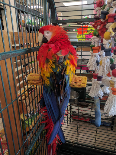 Pet Store «Suncoast Pets», reviews and photos, 7117 US-98, Panama City Beach, FL 32407, USA