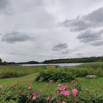 Photo n°6 de l'avis de Touren_Fan63. fait le 25/08/2020 à 14:58 sur le  Zur Kutscherscheune à Seedorf