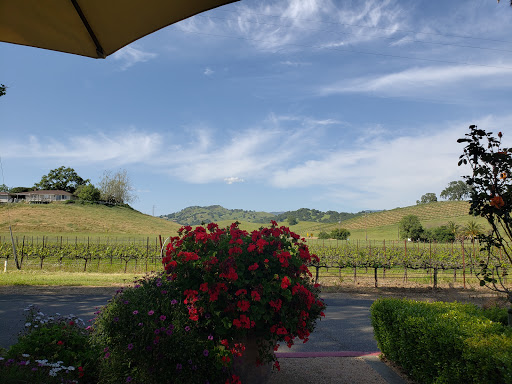 Winery «Vezér Family Vineyard - Blue Victorian», reviews and photos, 5071 Suisun Valley Rd, Fairfield, CA 94534, USA