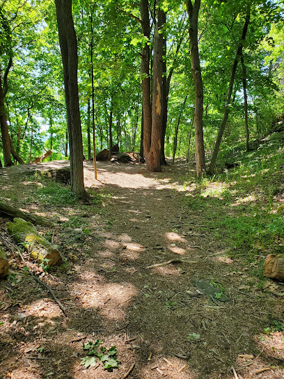 Kingston Point Disc Golf