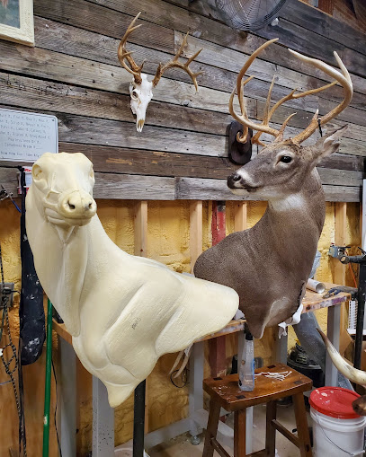 Twisted Hollow Taxidermy