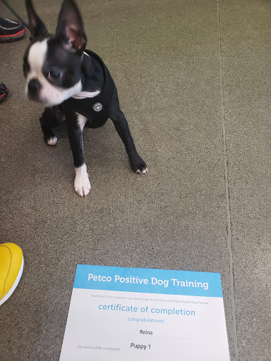 Pet Supply Store «Petco Animal Supplies», reviews and photos, 7215 170th Ave NE #115, Redmond, WA 98052, USA