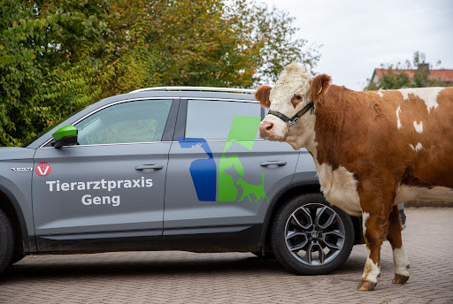 Tierarztpraxis Geng unter Seesen, Niedersachsen