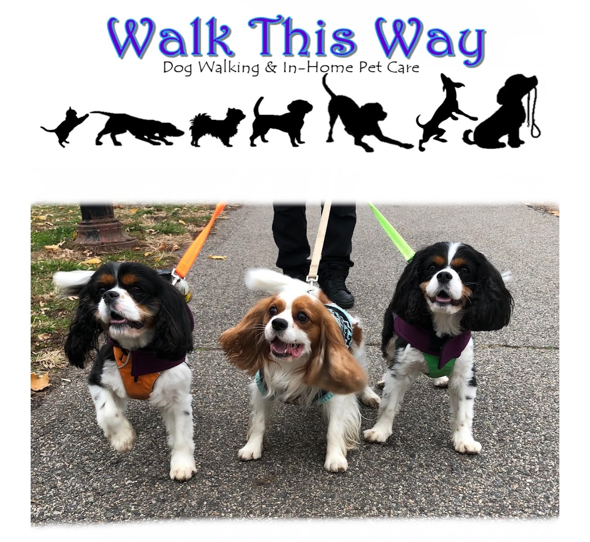 Walk This Way Dog Walking & In-Home Pet Care