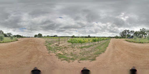 Tourist Attraction «The Bella Vista Ranch / First Texas Olive Oil Co.», reviews and photos, 3101 Mt Sharp Rd, Wimberley, TX 78676, USA