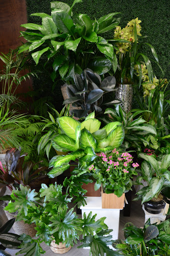 Florist «Royal Petals», reviews and photos, 188 E Wend St, Lemont, IL 60439, USA