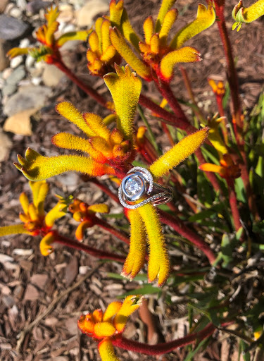 Jeweler «J. Wiesner, A Private Jeweler», reviews and photos, 4225 Executive Square, La Jolla, CA 92037, USA