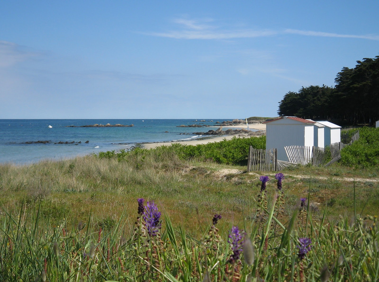 Plage des Sapins'in fotoğrafı ve yerleşim