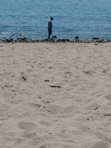 Park «Lyons Park», reviews and photos, Lothrop St, Beverly, MA 01915, USA