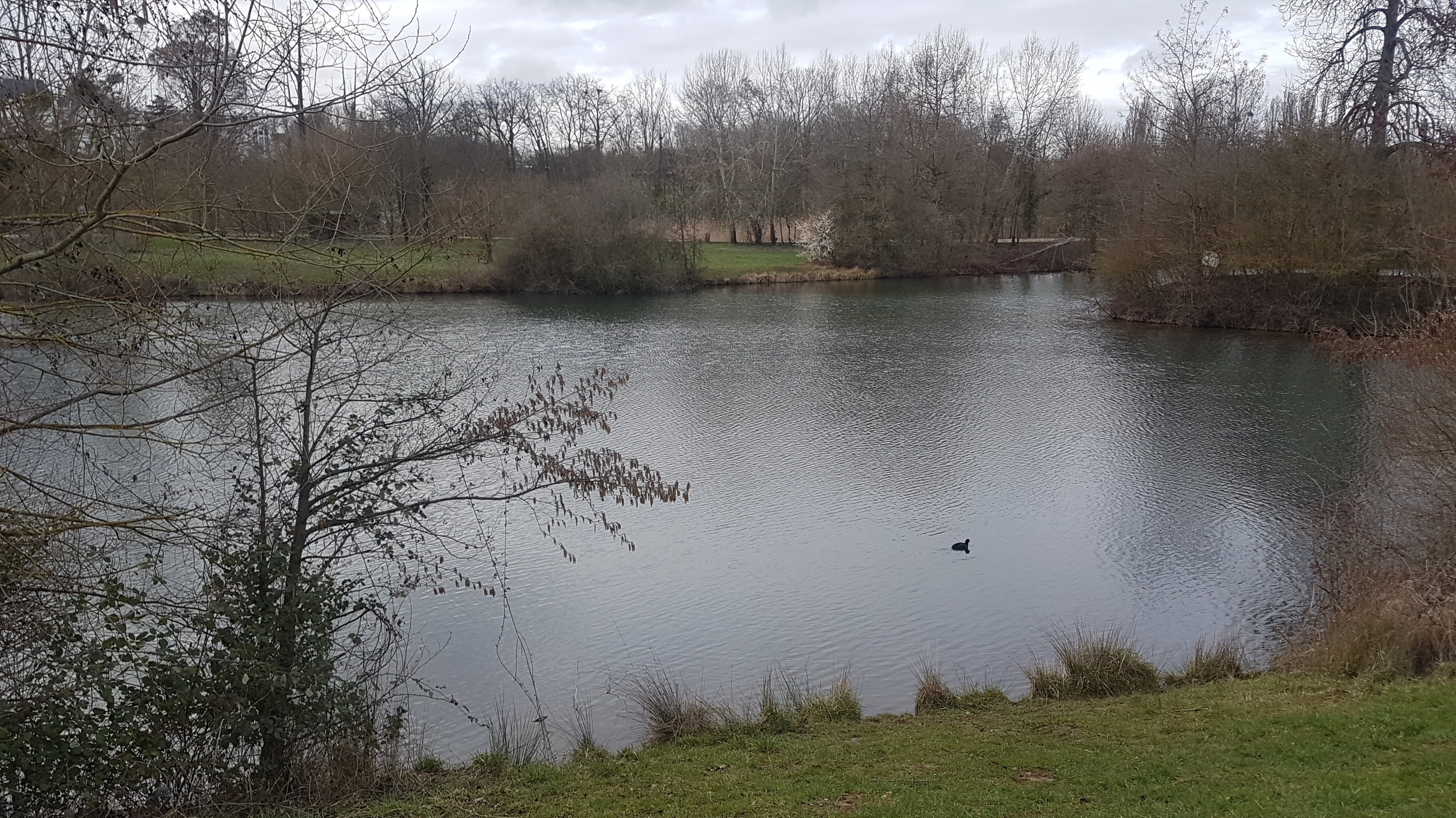 Photo n° 2 de l'avis de Jean-marie.o fait le 06/03/2019 à 12:51