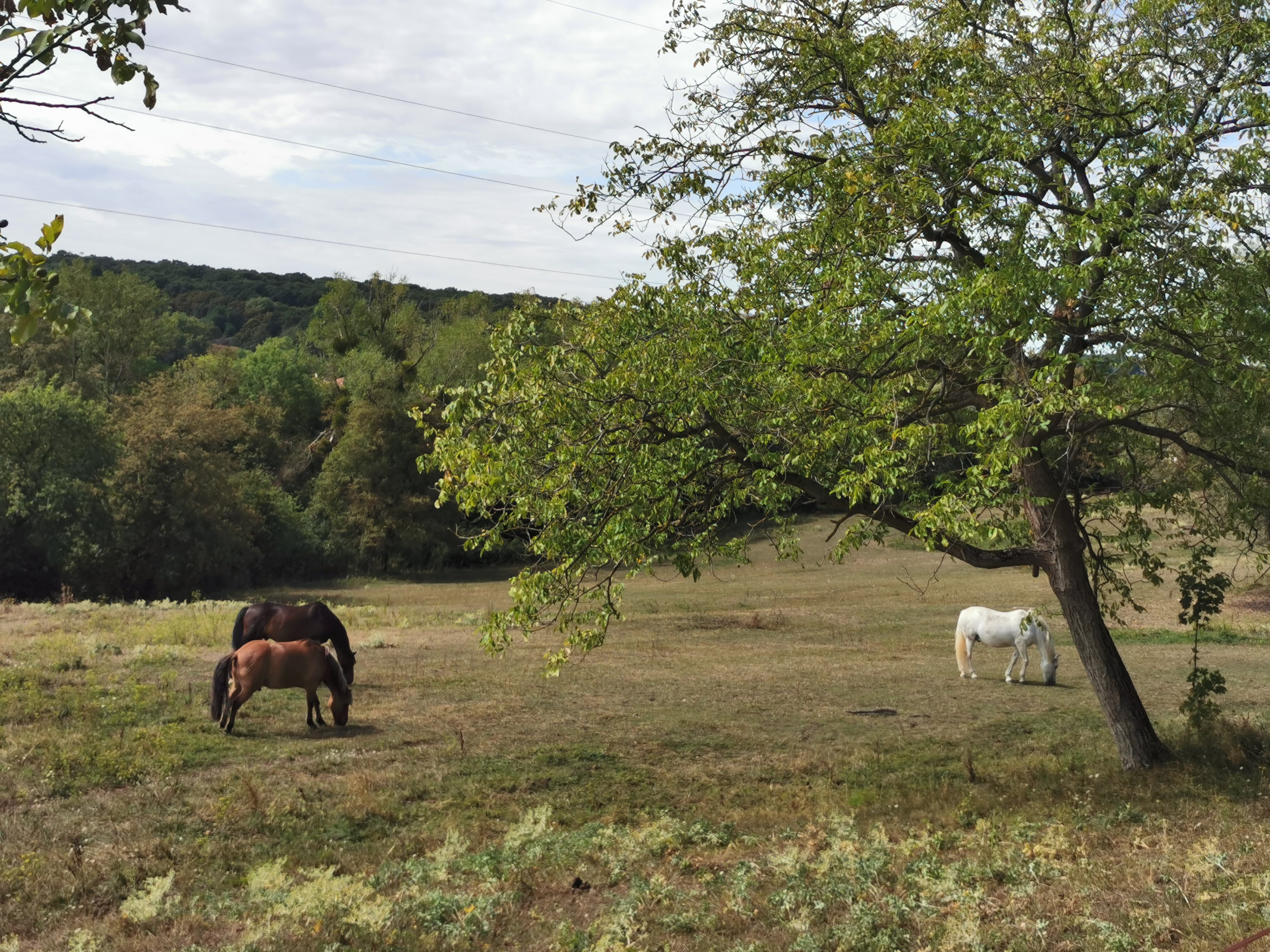 Photo n° 1 de l'avis de Bruno.r fait le 23/08/2020 à 11:53